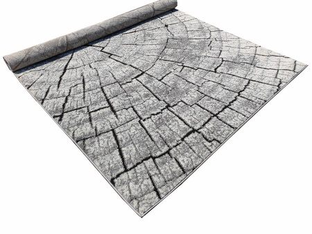 Dywan nowoczesny do salonu PNIAK Szary RC104 RAINBOW