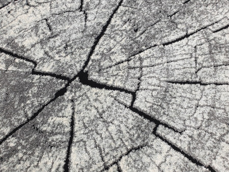 Dywan nowoczesny do salonu PNIAK Szary RC104 RAINBOW