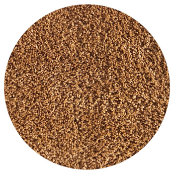 Dywan nowoczesny do salonu, sypialni Shaggy Ciemno Pomarańczowy Koło BEST