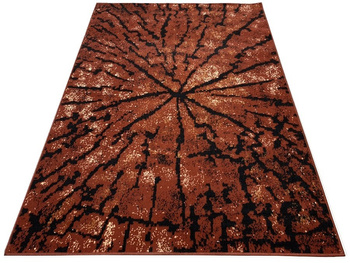 Dywan nowoczesny do salonu SŁOJE 777 Brązowy KATLA