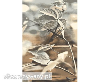 Dywan wełniany do salonu RAMO Beż NATURAL