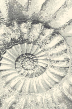 Dywan wełniany do salonu Agnella CONCH Popielaty PLATINIUM