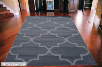 Dywan nowoczesny do salonu AMABA Ciemny Popiel LUNA