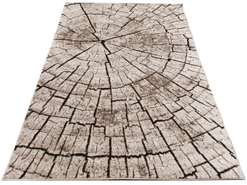 Dywan nowoczesny do salonu PNIAK Beżowy RC104 RAINBOW