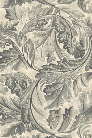 Dywan wełniany do salonu Agnella ACANTHUS Popiel Szary OPAL