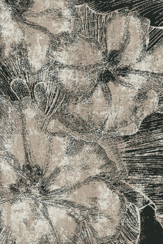 Dywan do salonu Agnella DUKI Czarny LIDA