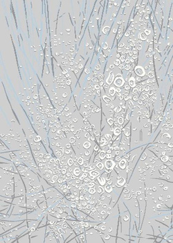 Dywan nowoczesny do salonu, sypialni Poliestrowy Shaggy FROST Jasny Szary YOKI