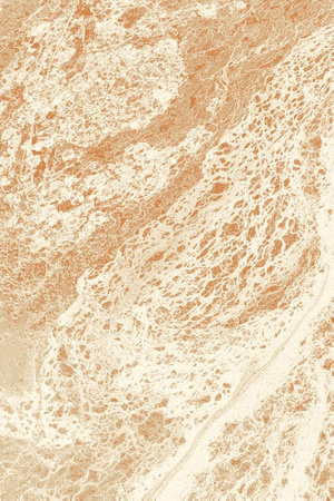 Dywan wełniany do salonu Agnella AFI Jasno Beżowy AGNUS