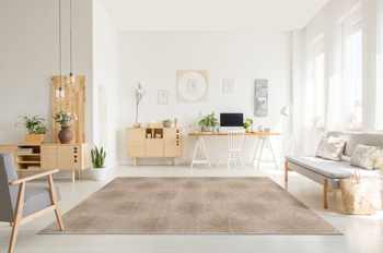 Dywan do salonu Agnella FD SIMO Beżowy LIDA SHRINK