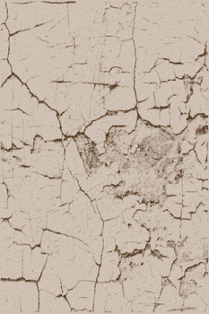 Dywan nowoczesny do salonu Agnella FD NELO Jasno Beżowy SENSI