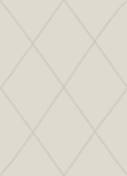 Dywan nowoczesny do salonu SNAP Len EDEN