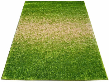 Dywan nowoczesny do salonu i sypialni TARIS Zielony M10 NEVADAS