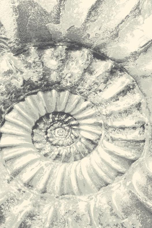 Dywan wełniany do salonu Agnella CONCH Popielaty PLATINIUM