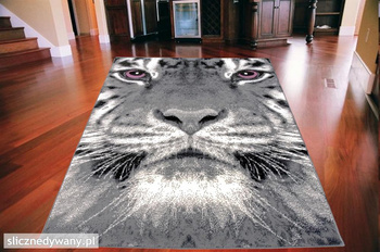 Dywan młodzieżowy TIGER Popiel CITY