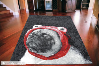 Dywan nowoczesny do salonu FRENCH BULLDOG Czarny CITY