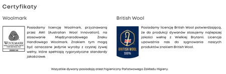 Dywan wełniany do salonu Agnella PONCHO Jasno Szary F TEMPO NATURAL