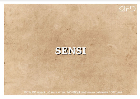 Dywan nowoczesny do salonu Agnella FD KODA Jasny Beżowy SENSI