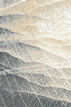 Dywan nowoczesny do salonu URDUR Beż AVANTI