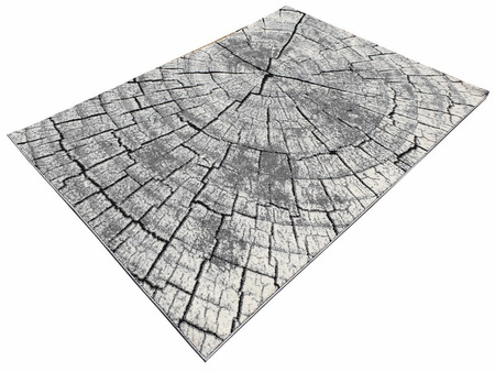 Dywan nowoczesny do salonu PNIAK Szary RC104 RAINBOW