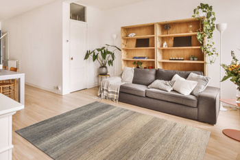 Dywan wełniany do salonu Agnella AIKO Siwy CALISIA