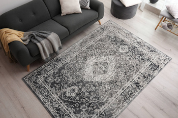 Dywan klasyczny do salonu Agnella FD DIKI Popielaty SENSI