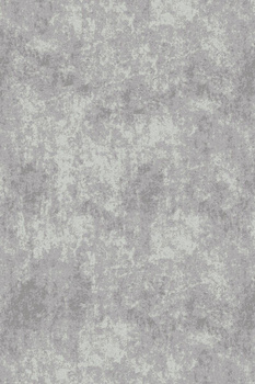 Dywan wełniany do salonu Agnella ZILKA Szary BALLATA NATURAL