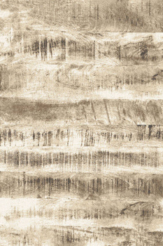 Dywan wełniany do salonu Agnella LIGNO Beżowy BALLATA NATURAL