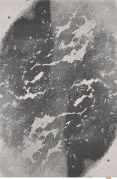 Dywan wełniany do salonu Agnella ASO Popielaty CALISIA M