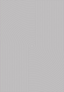 Dywan nowoczesny do salonu Dywilan 3D SPEEDWAY 4 Szary JUNO