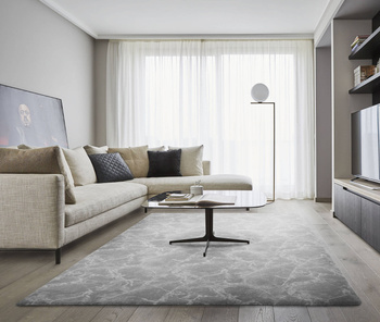 Dywan wełniany do salonu Agnella ALFRED Platyna AGNUS