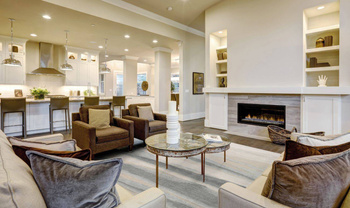 Dywan wełniany do salonu ELIDU Popielaty PLATINIUM