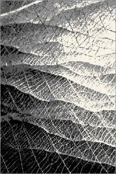 Dywan nowoczesny do salonu PENETRO Granit Popiel FORM