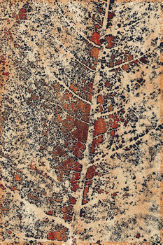 Dywan wełniany do salonu Agnella ALNUS Miedziany Beżowy ISFAHAN