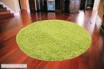 Dywan do salonu, sypialni Zielony Grass Koło SHAGGY Fresee
