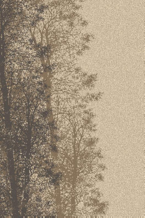 Dywan wełniany do salonu Agnella LAS Beżowy BALLATA NATURAL