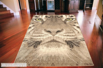 Dywan młodzieżowy TIGER Brązowy CITY