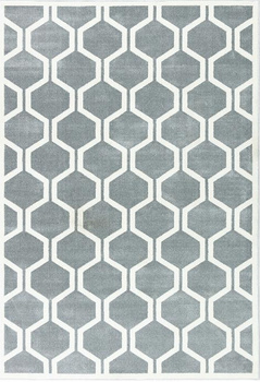 Dywan nowoczesny do salonu Agnella TEHYA Popiel SOFT