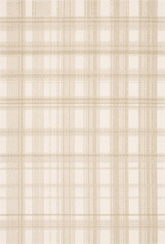 Dywan wełniany do salonu Agnella CODY Kremowy TEMPO NATURAL