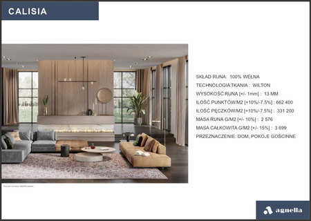 Dywan wełniany do salonu Agnella ANATO Jasny Niebieski CALISIA