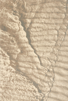 Dywan wełniany do salonu Agnella MARILU Beżowy AGNUS