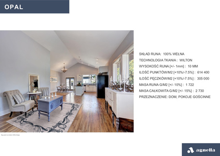 Dywan wełniany do salonu Agnella ACANTHUS Popiel Szary OPAL