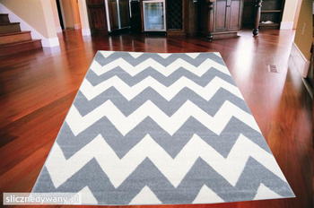 Dywan nowoczesny do salonu ZAKOS Popielato Biały 2303 Grey Bone