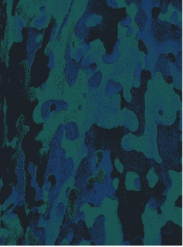 Dywan nowoczesny do salonu Agnella FULI Czarny DREAM