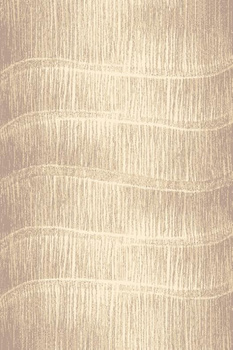 Dywan nowoczesny do salonu TYTUS Beż AVANTI