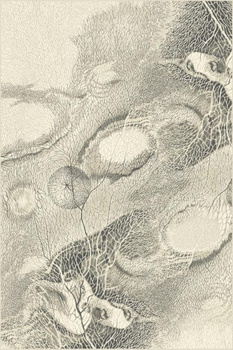 Dywan wełniany do salonu BELLONA Perła ISFAHAN